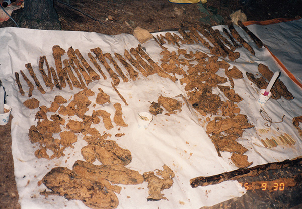 1995년 9월 30일 발굴된 유해. 발굴을 시작한 지 하루만에 다량의 유해가 나왔다. @금정굴평화인권재단