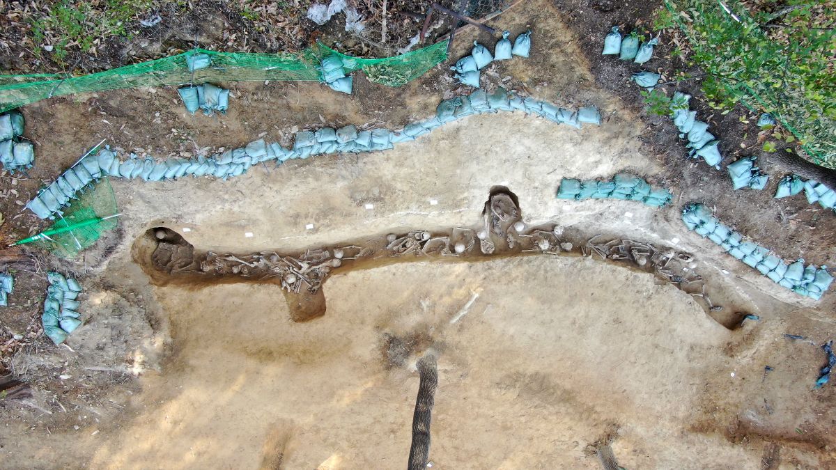 성재산 방공호에서 발굴된 유해.