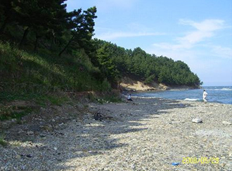 환여동 해변