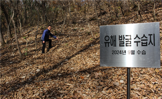 김천 돌고개 유해발굴 현장