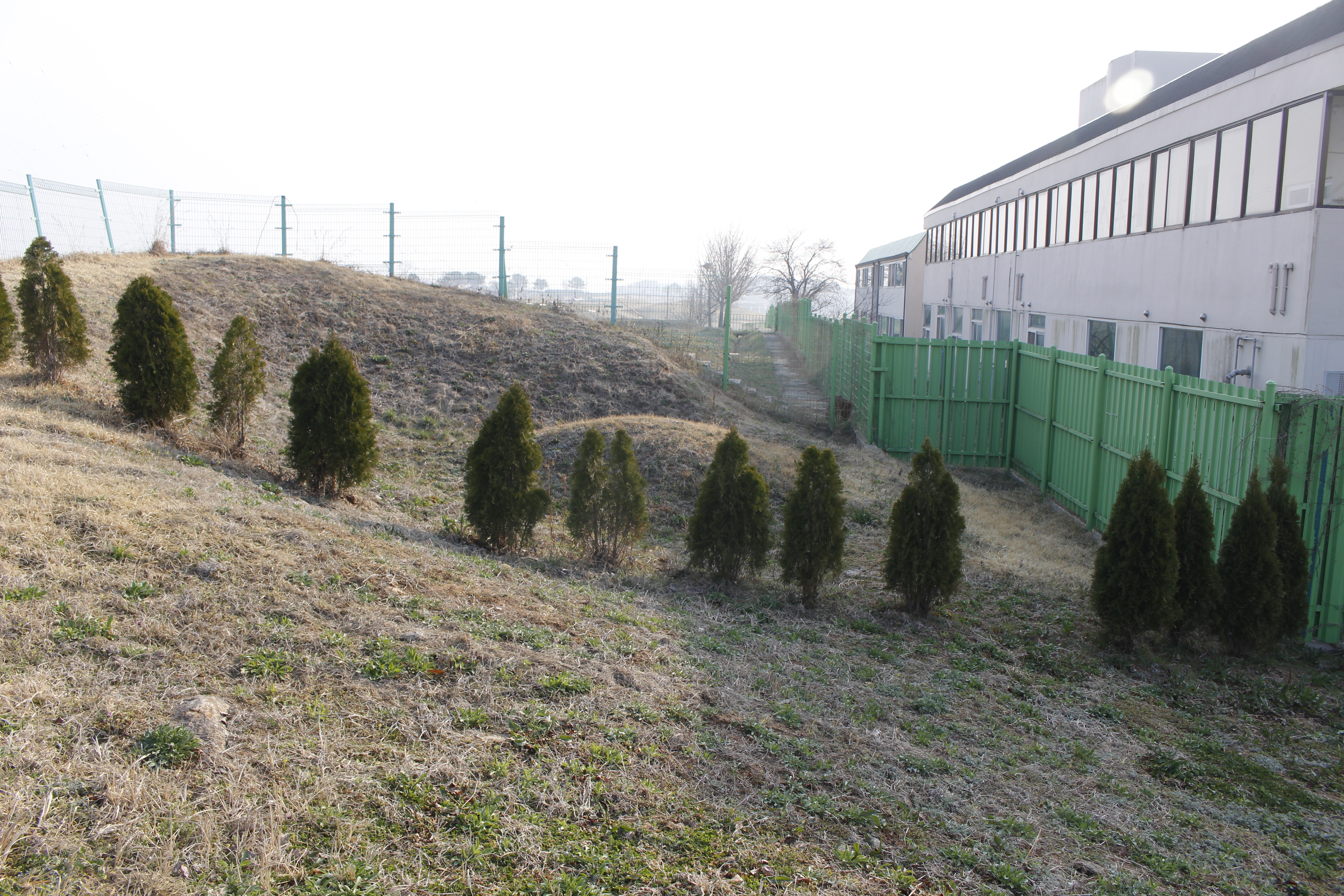 전파관리소 유골 봉분