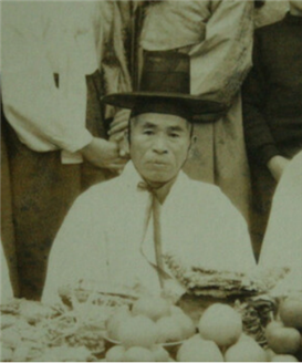 김해 한림면 의인 최대성