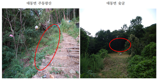 대동면 나밭고개와 숯굴