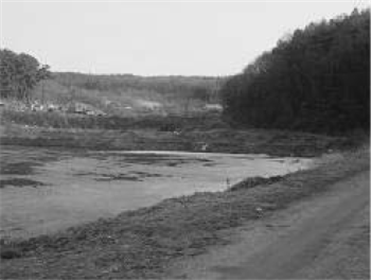 건지미 골짜기 희생 추정지