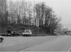 태평리 공동묘지 희생 추정지
