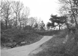 금사면 옹기정 뒷산 희생 추정지