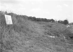 매류리 공동묘지 희생 추정지