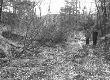 대신면 장풍리 골짜기 희생 추정지