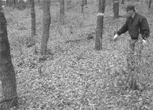 여주향교 뒷동산 희생 장소