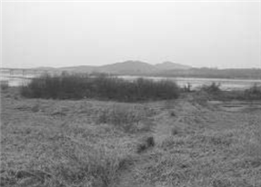 여주읍 하리 고려병원 뒤 강변 희생 추정지